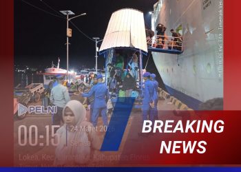 PELNI Siap Layani 316 Ribu Penumpang Arus Mudik Lebaran