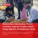 Skema Baru Selamatkan Petani Lembata: Jagung Tongkol Dibeli, Harga Dijamin, Pembayaran Tunai