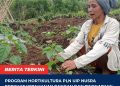 Program Hortikultura PLN UIP Nusra Perkuat Ketahanan Pangan dan Tingkatkan Kesejahteraan Warga Dusun Tantong