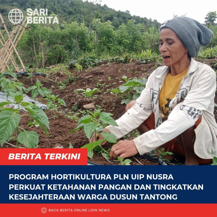 Program Hortikultura PLN UIP Nusra Perkuat Ketahanan Pangan dan Tingkatkan Kesejahteraan Warga Dusun Tantong