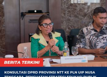 Konsultasi DPRD Provinsi NTT ke PLN UIP Nusa Tenggara, Penguatan Strategi Edukasi Publik Pengembangan Geothermal di NTT