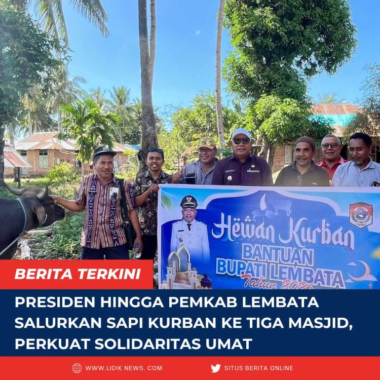 Presiden hingga Pemkab Lembata Salurkan Sapi Kurban ke Tiga Masjid, Perkuat Solidaritas Umat