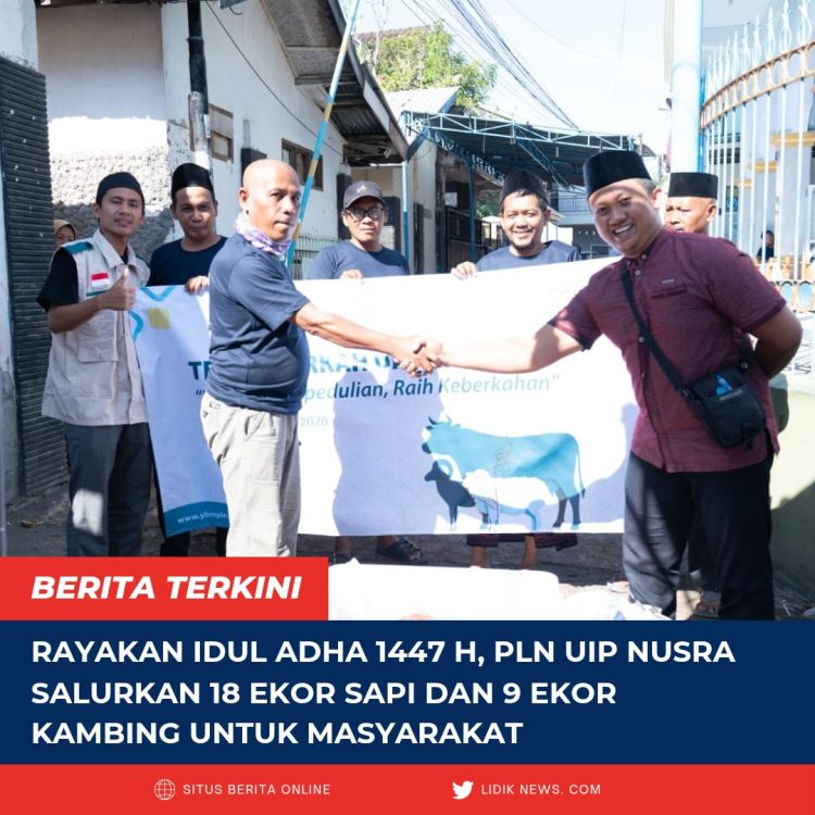 Rayakan Idul Adha 1447 H, PLN UIP Nusra Salurkan 18 Ekor Sapi dan 9 Ekor Kambing untuk Masyarakat