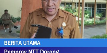 Pemprov NTT Dorong pengembangan Geothermal di Flores, PLN UIP Nusra Perkuat Komitmen Hadirkan Energi Bersih