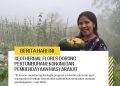 Geothermal Flores Dorong Pertumbuhan Ekonomi dan Pemberdayaan Masyarakat