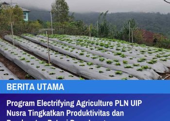 Program Electrifying Agriculture PLN UIP Nusra Tingkatkan Produktivitas dan Pendapatan Petani Desa Lungar