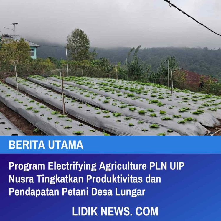Program Electrifying Agriculture PLN UIP Nusra Tingkatkan Produktivitas dan Pendapatan Petani Desa Lungar