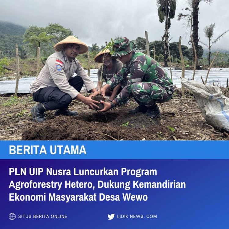 PLN UIP Nusra Luncurkan Program Agroforestry Hetero, Dukung Kemandirian Ekonomi Masyarakat Desa Wewo