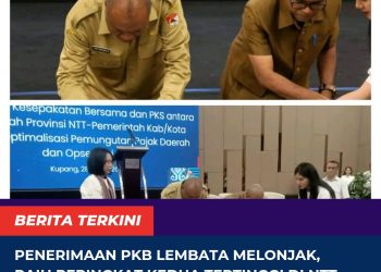 Penerimaan PKB Lembata Melonjak, Raih Peringkat Kedua Tertinggi di NTT