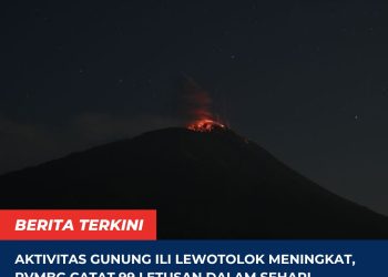 Aktivitas Gunung Ili Lewotolok Meningkat, PVMBG Catat 99 Letusan dalam Sehari, Warga Diminta Patuhi Radius Bahaya
