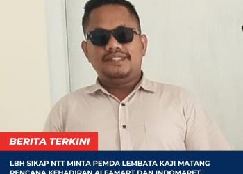 LBH SIKAP NTT Minta Pemda Lembata Kaji Matang Rencana Kehadiran Alfamart dan Indomaret, Soroti Dampaknya terhadap UMKM dan Konsumen