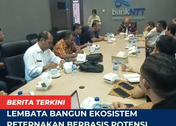 Lembata Bangun Ekosistem Peternakan Berbasis Potensi Lokal, Bank NTT Siap Bersinergi