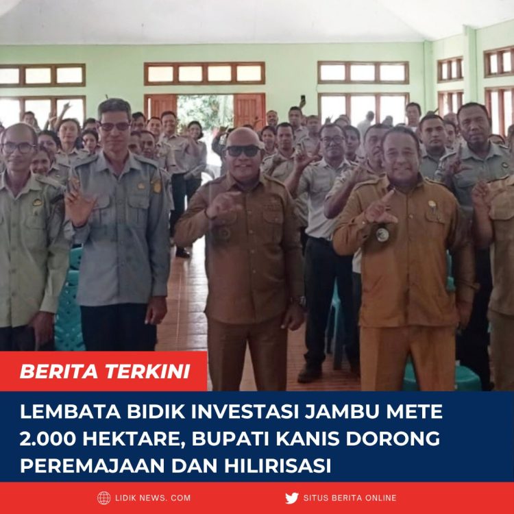 Lembata Bidik Investasi Jambu Mete 2.000 Hektare, Bupati Kanis Dorong Peremajaan dan Hilirisasi