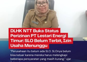 DLHK NTT Buka Status Perizinan PT Lestari Energi Timur: SLO Belum Terbit, Izin Usaha Menunggu