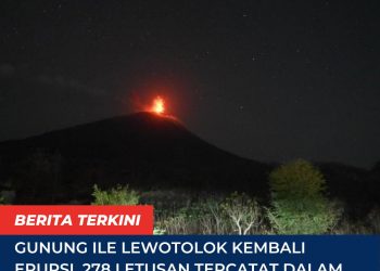 Gunung Ile Lewotolok Kembali Erupsi, 278 Letusan Tercatat dalam Sehari
