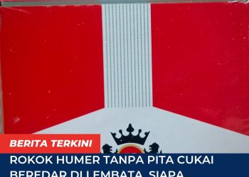 Rokok Humer Tanpa Pita Cukai Beredar di Lembata, Siapa Pemasok dan Pengendalinya?