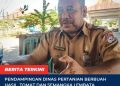 Pendampingan Dinas Pertanian Berbuah Hasil, Tomat dan Semangka Lembata Tembus Pasar Luar Daerah