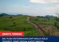 Big Push Peternakan Sapi Wolo Kolo Disorot, DPRD Desak Audit hingga Penelusuran APH