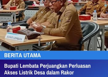 Bupati Lembata Perjuangkan Perluasan Akses Listrik Desa dalam Rakor Pemerintah se-NTT